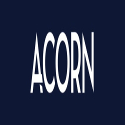 Acorn Online