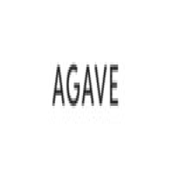 Agave Denim