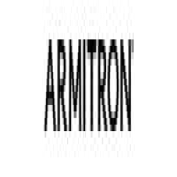 Armitron