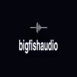 Big Fish Audio