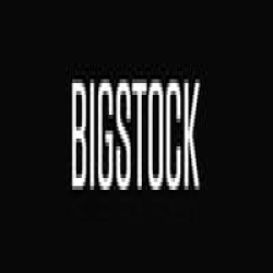 Bigstock