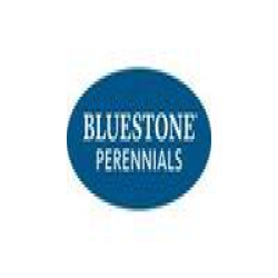 Bluestone Perennials