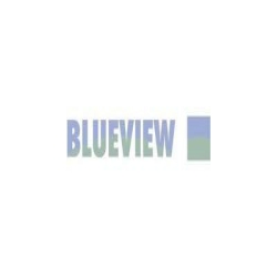 Blueview Footwear