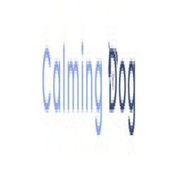 Calming Dog