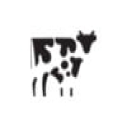Copper Cow Coffee
