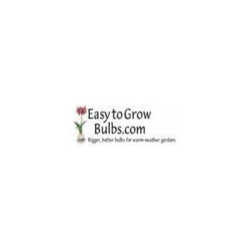 Easy To Grow Bulbs