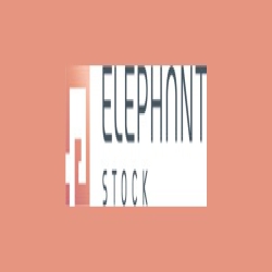 ElephantStock