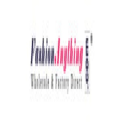FashionAnything
