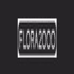 Flora2000