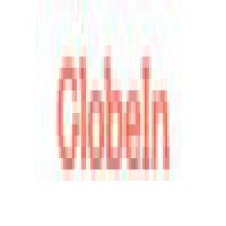 GlobeIn
