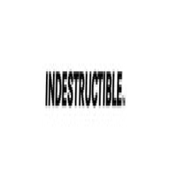Indestructible Shoes
