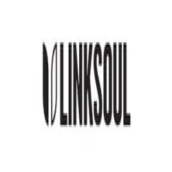 LinkSoul