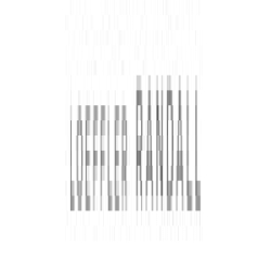 Loeffler Randall