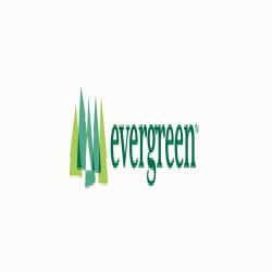 My Evergreen
