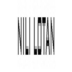 Nili Lotan