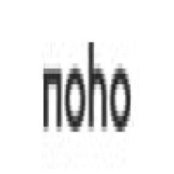 Noho
