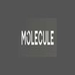 Molecule Mattress