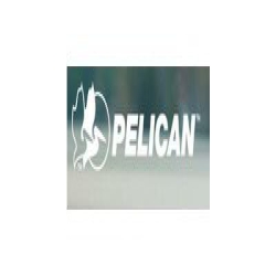Pelican