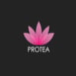 Protea Hair