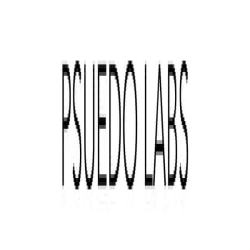Pseudo Labs