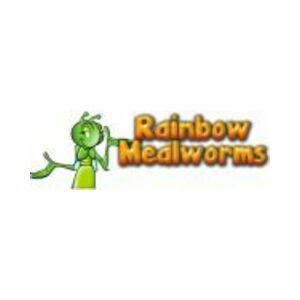 Rainbow mealworms