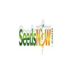 SeedsNOW