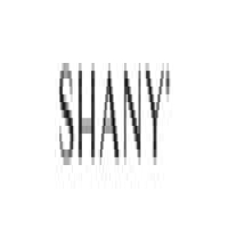 SHANY