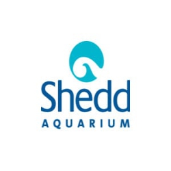 Shedd Aquarium
