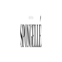 Spongellé