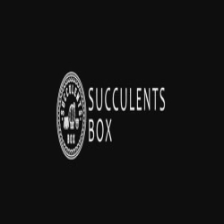 Succulents Box