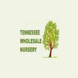 TN Nursery