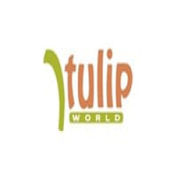 Tulip World