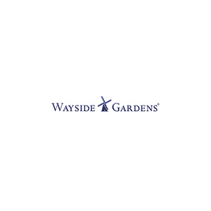 Wayside Gardens
