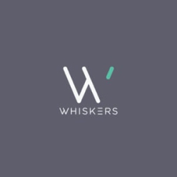 Whiskers Laces