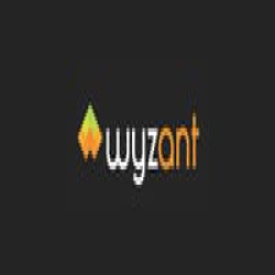 Wyzant